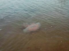 -南戴河国际娱乐中心