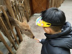 -杭州开元森泊度假乐园