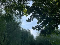 -老君堂公园