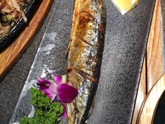 -禾绿回转寿司(万柳华联店)