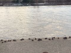 -多瑙河畔鞋履雕塑