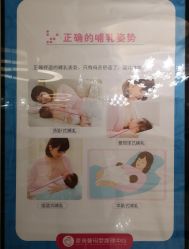 -星摇篮月子中心(市妇幼店)
