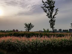 -上海山野camping·户外天幕烧烤·团建拓展营地