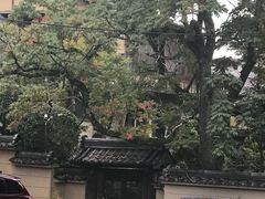 -奈良公园