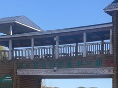 -莫尔道嘎国家森林公园