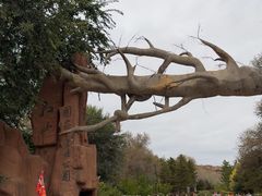 -红山国家森林公园