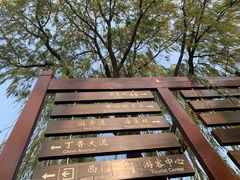 -古塔公园