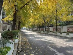 -四川大学(望江校区)