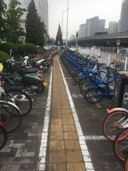 -首都医科大学附属北京儿童医院