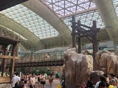 -杭州开元森泊度假乐园