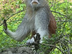 -宁波野生动物园