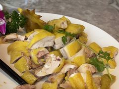 -陶缘一号·四季缘·老字号顺德菜·户外婚礼家宴(西滘店)