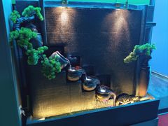 -立里春天印象·影院足疗轻养SPA(二十四城店)
