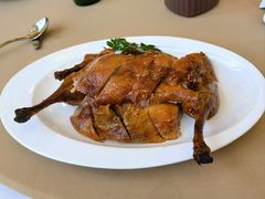 -圆苑(金茂店)