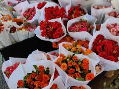 -循礼门鲜花花市(武汉循礼门店)