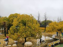 -西园戒幢律寺