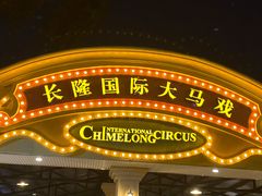 -广州长隆国际大马戏
