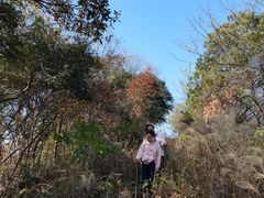 -青龙山国家森林公园