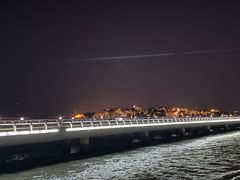 -演武大桥观景平台
