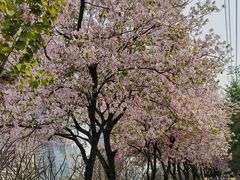 -南丰汇(新港东路店)