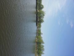 -白渔泡湿地公园