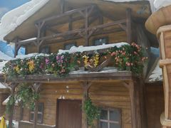 -世界之窗阿尔卑斯冰雪世界