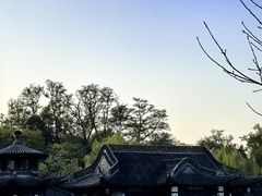 -扬州大运河文化旅游度假区·盆景园