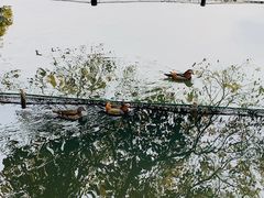 -杭州西湖风景名胜区-钱塘苏小小之墓