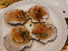 -大东海海鲜酒楼(渔人码头总店)