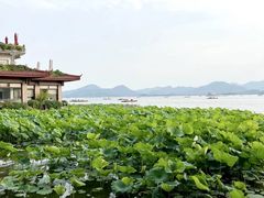 -湖畔居茶楼(湖滨店)