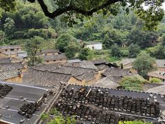 -杨家堂村