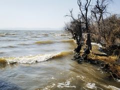 -捞渔河湿地公园