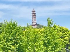 -北坞公园