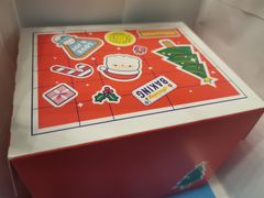 -蒲公英(五里店)