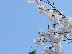 -簋街