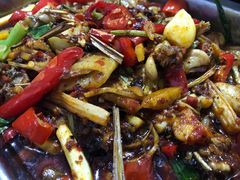 -大理.老字号渝记酸萝卜乌鱼(古城总店)