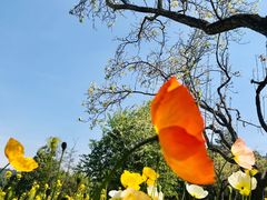 -名花谷生态庄园