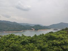 -酒仙湖景区