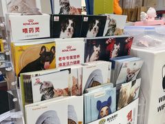 -艾贝尔宠物医院·24H转诊中心·肿瘤猫专科(江宁双龙店)