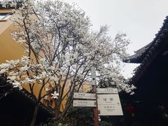 -龙华寺