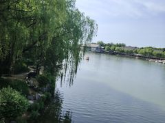-西安曲江寒窑遗址公园