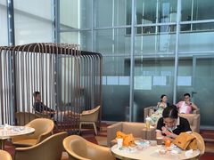 -奔驰上海利星(七宝店)