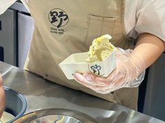 -野人先生Gelato(上海长宁龙之梦店)