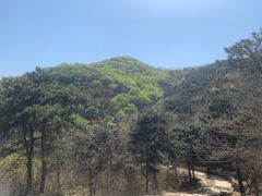 -北京西山国家森林公园