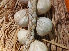 -老阿爸江浙土菜(奥体中心店)