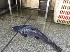 江龙饭店-江龙饭店·乌江豆腐鱼(乌江站分店)