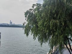 -杜甫江阁