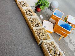 -帽帽家只卖生蚝·烧烤(沙湖路店)