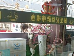 -陈生记黑鱼馆·20年活鱼现杀(宁波鼓楼店)