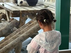 -无锡动物园·太湖欢乐园